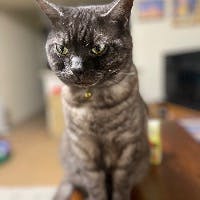 みどりふぐさんのプロフィールアイコン