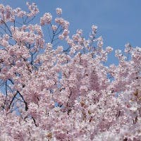 たかちゃんさんのプロフィールアイコン