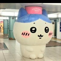 ひなむーママさんのプロフィールアイコン