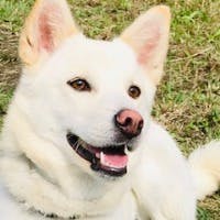 古賀　敬太郎さんのプロフィールアイコン
