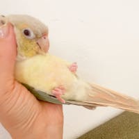 えみさんのプロフィールアイコン
