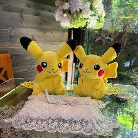 まりもさんのプロフィールアイコン
