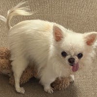 ナイスさんのプロフィールアイコン