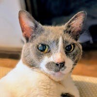 高田久典さんのプロフィールアイコン