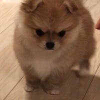 ai_ciさんのプロフィールアイコン
