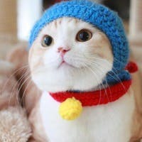 柿本圭介さんのプロフィールアイコン