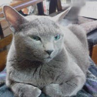 vivienさんのプロフィールアイコン