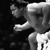 ハンバーグさんのプロフィールアイコン