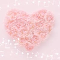 ずうずうさんのプロフィールアイコン