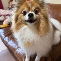つくねさんのプロフィールアイコン