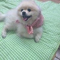 安達正和さんのプロフィールアイコン