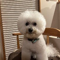 Keikotanukiさんのプロフィールアイコン