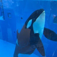 ささささんのプロフィールアイコン