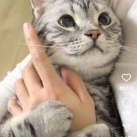 沙代子さんのプロフィールアイコン