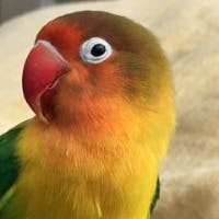 funamiさんのプロフィールアイコン