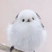 桂子さんのプロフィールアイコン