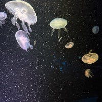 danさんのプロフィールアイコン