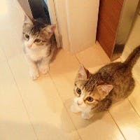 FASTWATER046さんのプロフィールアイコン