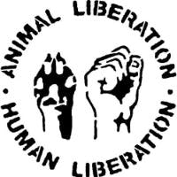 Animal Liberationさんのプロフィールアイコン