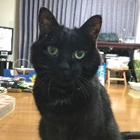 keiko nagafuchiさんのプロフィールアイコン