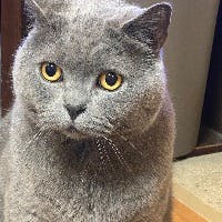 沓名さんのプロフィールアイコン