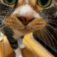 小野寺　博子さんのプロフィールアイコン