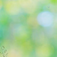 やまもとさんのプロフィールアイコン