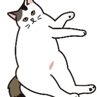 田嶋　真理さんのプロフィールアイコン