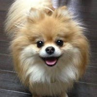 跡部弘美さんのプロフィールアイコン