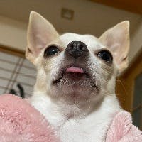 KATABONさんのプロフィールアイコン