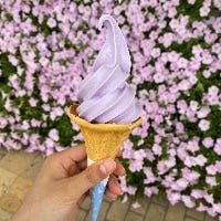 秋田智美さんのプロフィールアイコン