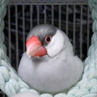 吉田さんのプロフィールアイコン