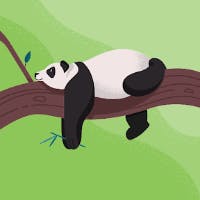 Xiaoさんのプロフィールアイコン