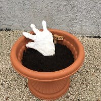 TAKAさんのプロフィールアイコン