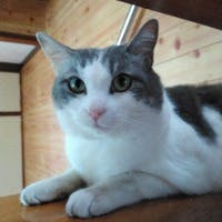Smileひらのさんのプロフィールアイコン
