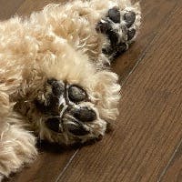 maeda junichiさんのプロフィールアイコン