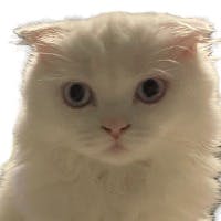 秋元　誠さんのプロフィールアイコン