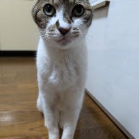 長堀三儀さんのプロフィールアイコン