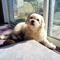 SIZZLE426さんのプロフィールアイコン