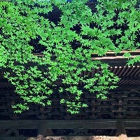 浜本忠さんのプロフィールアイコン