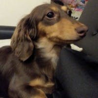 KAWASHIMA SATORUさんのプロフィールアイコン
