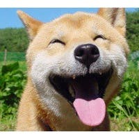 Gogo310さんのプロフィールアイコン
