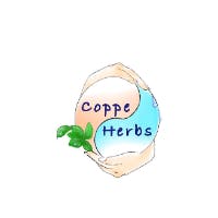 さき/こぺ太郎さんのプロフィールアイコン