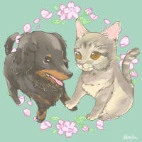 中川 透さんのプロフィールアイコン