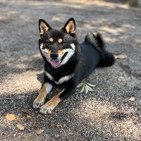 まきさんのプロフィールアイコン