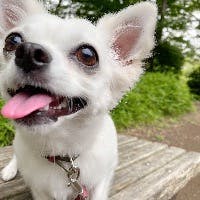 Maiさんのプロフィールアイコン
