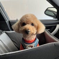 JINさんのプロフィールアイコン