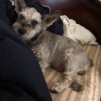 野口　真由さんのプロフィールアイコン