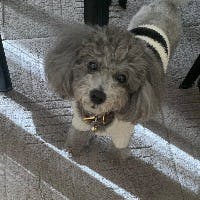 こまちさんのプロフィールアイコン