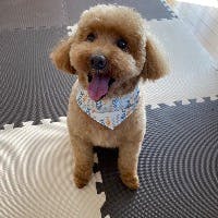 ぽんずのオカンさんのプロフィールアイコン